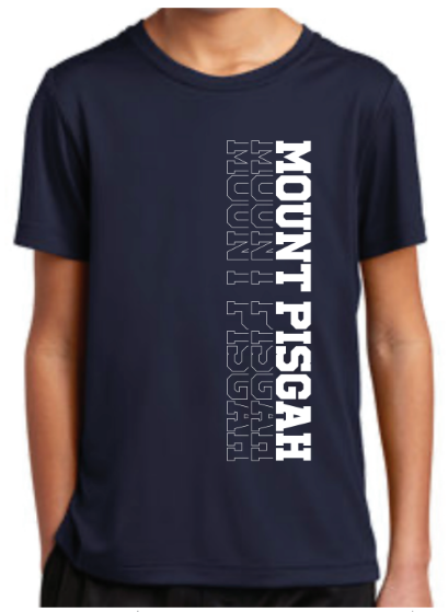 Youth Mount Pisgah Dri Fit tee